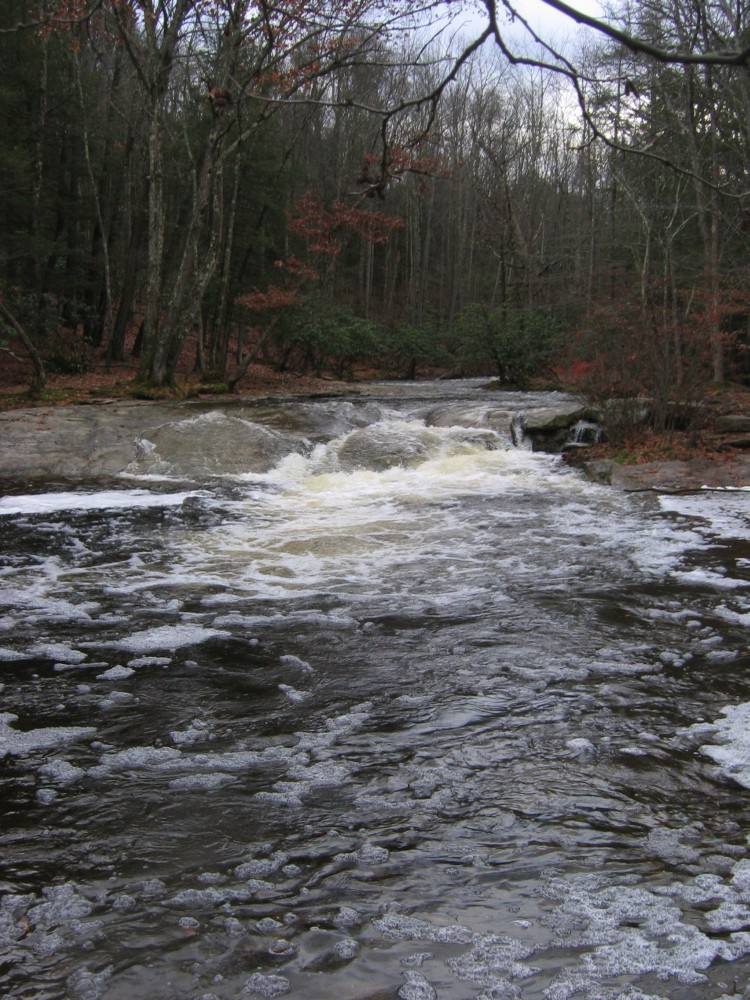 Peterskill Creek, at Alligerville swimming hole