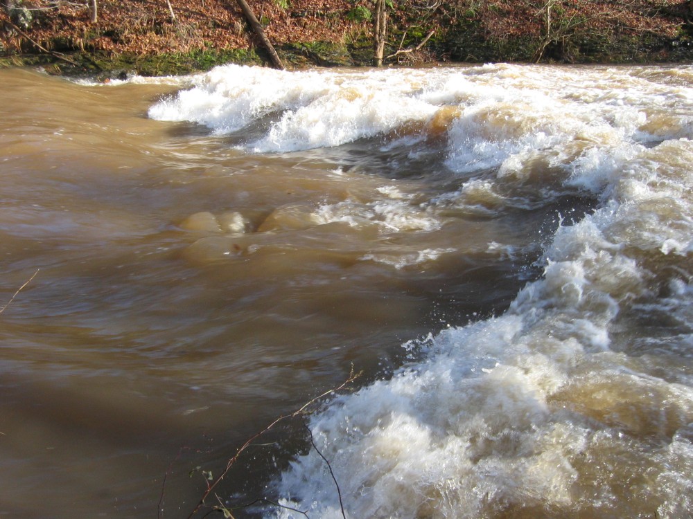 Surf wave on Sawkill Creek