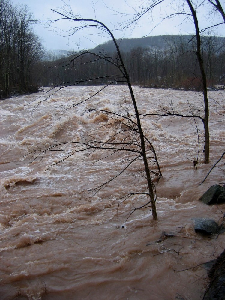 Upstream view of Elmers Bend