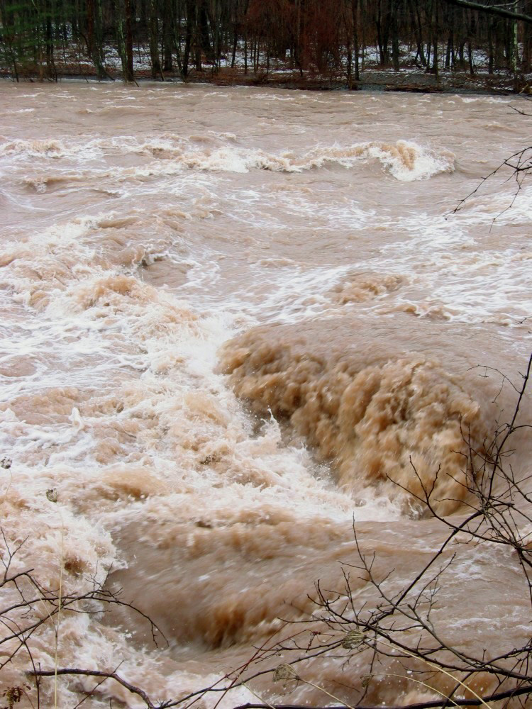 Barely exposed rock at the bottom of Elmers Bend on the Esopus Creek